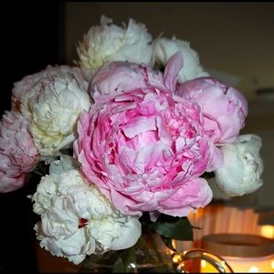 Meet your Posher, Lea